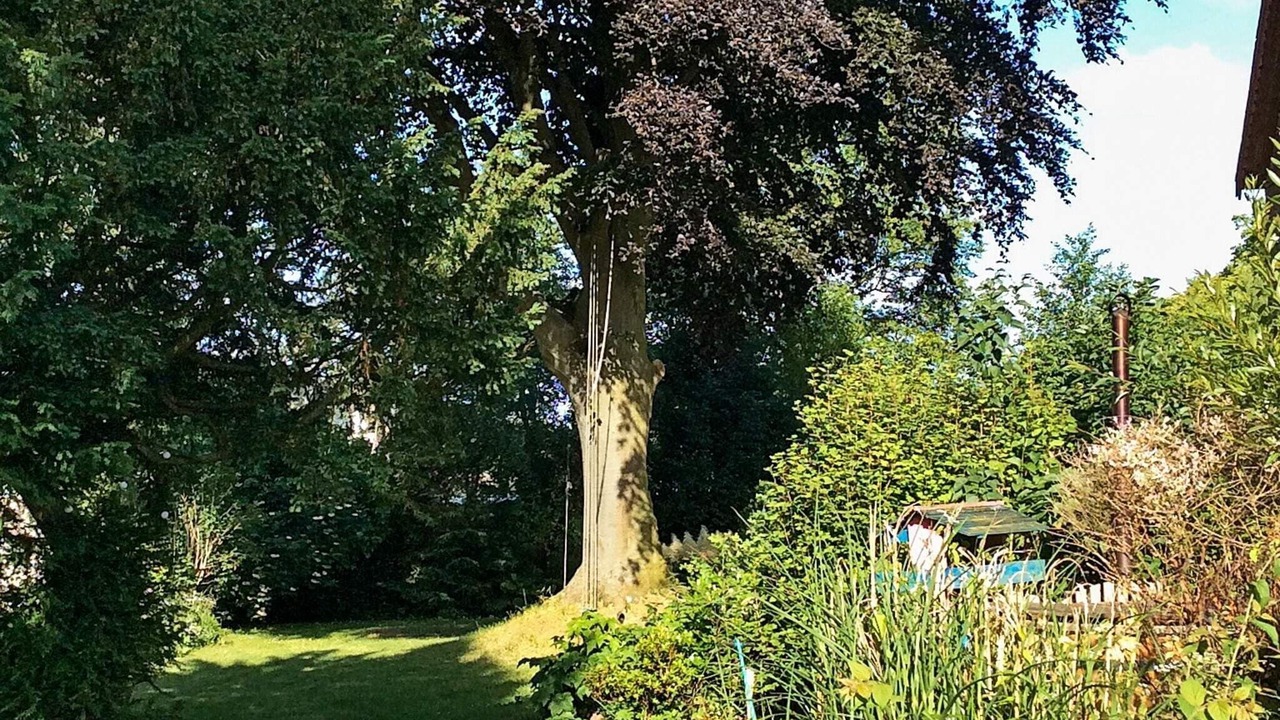 Photo of Outdoor in Sønderborg