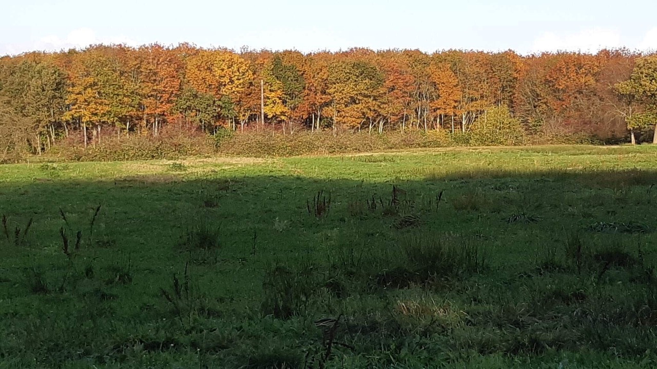 Photo of Outdoor in Arrild Ferieby