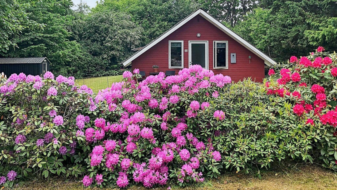 Photo of Outdoor in Arrild Ferieby