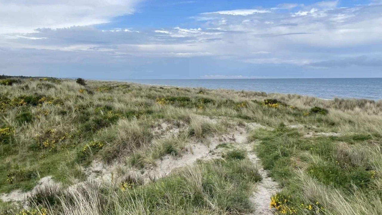 Photo of Others in Helberskov Strand