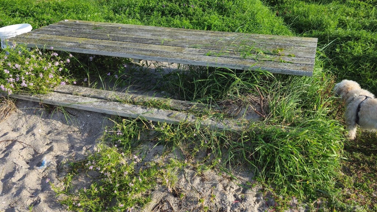 Photo of Outdoor in Nordost