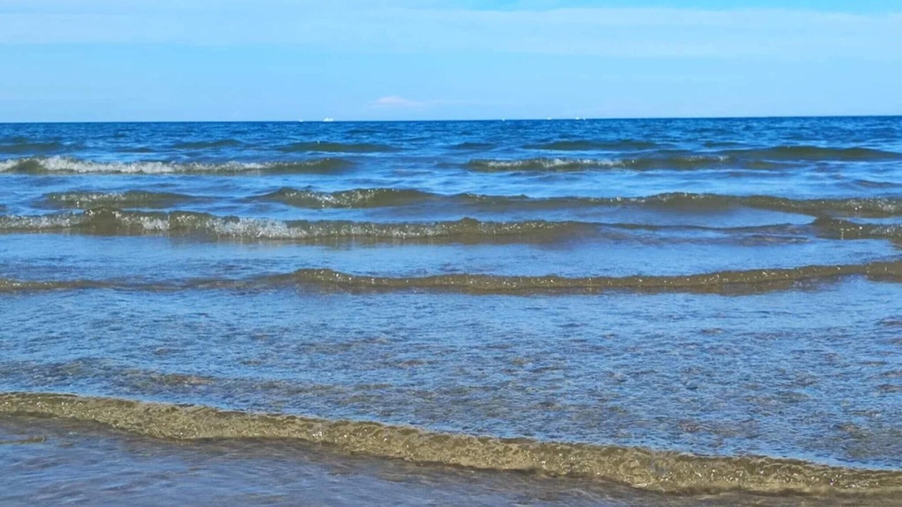 Photo of Others in Læsø