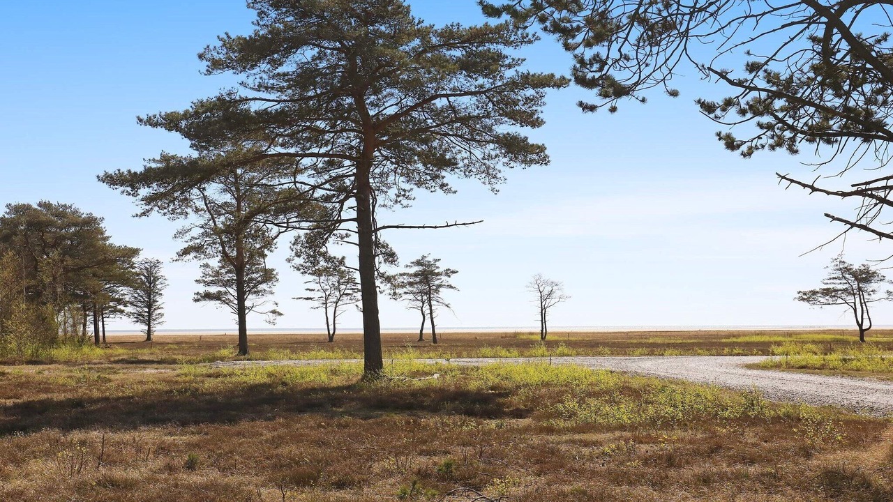 Photo of Others in Læsø