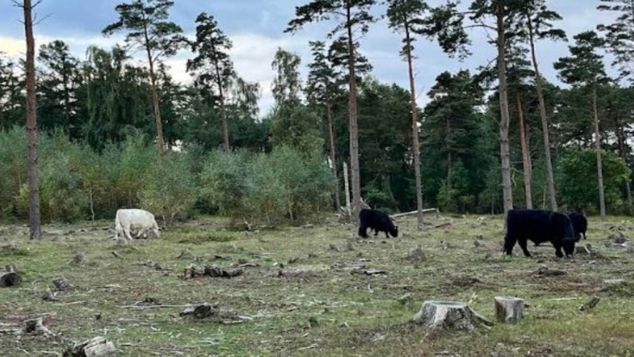 Photo of Outdoor in Faldsled