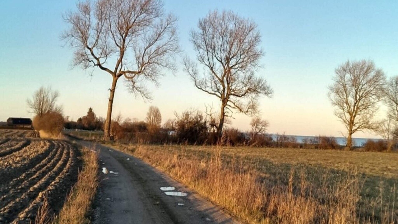 Photo of Outdoor in Faldsled