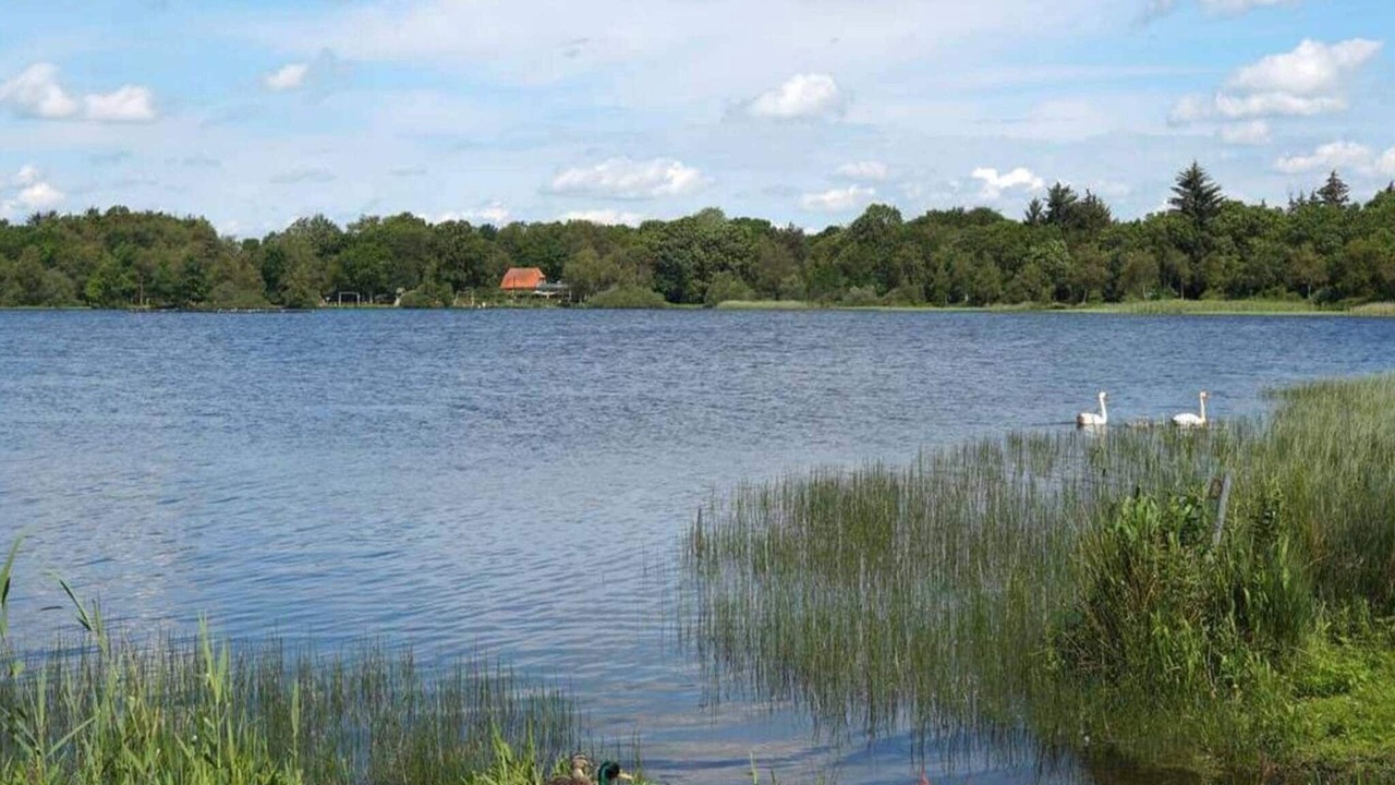 Photo of Others in Ansager