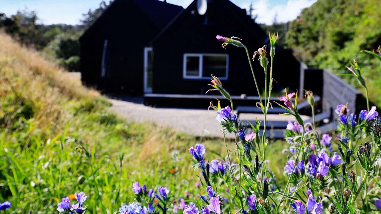 Photo of Outdoor in Blokhus