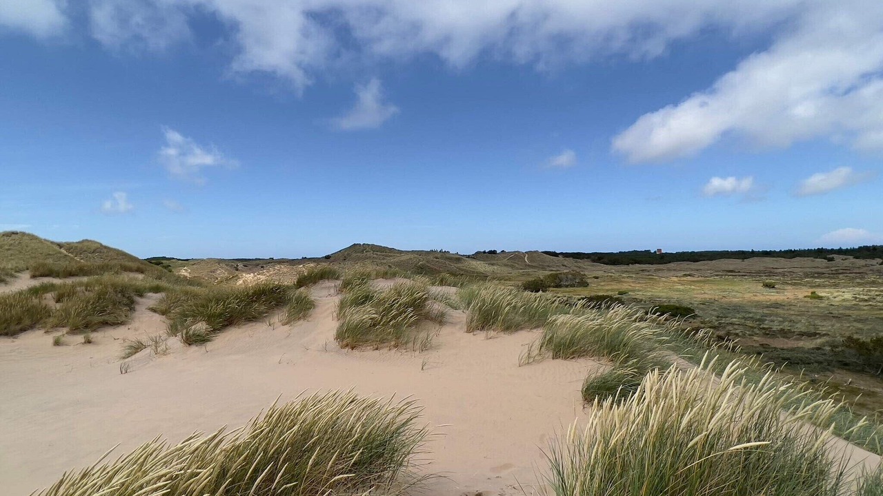 Photo of Others in Skagen