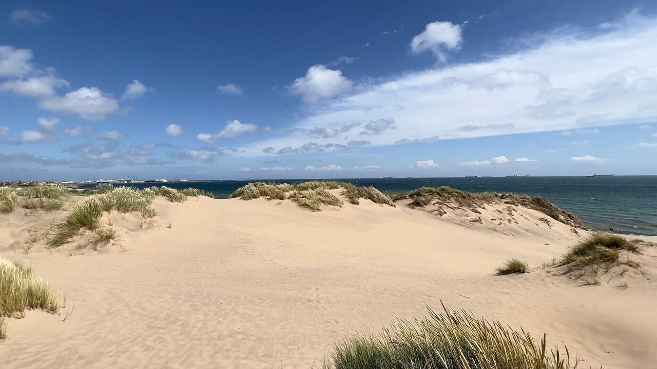 Photo of Others in Skagen