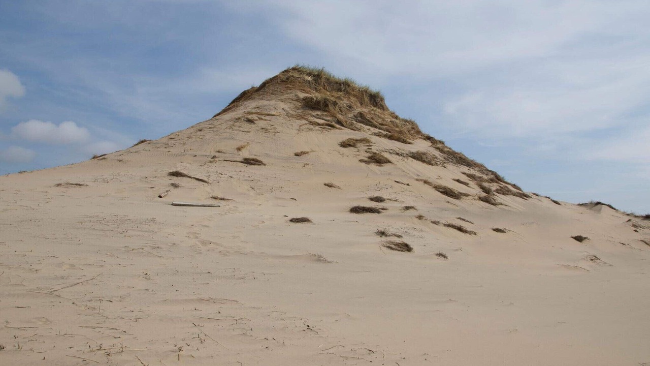 Photo of Others in Skagen