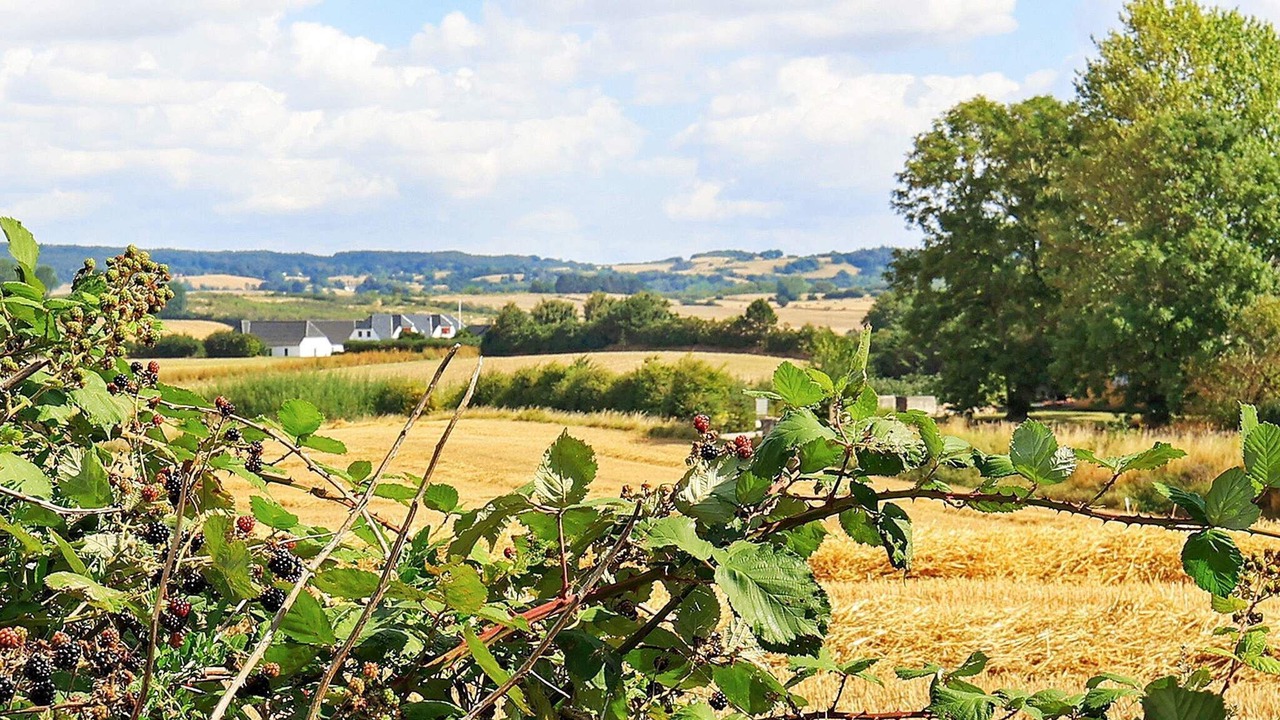 Photo of Outdoor in Faaborg