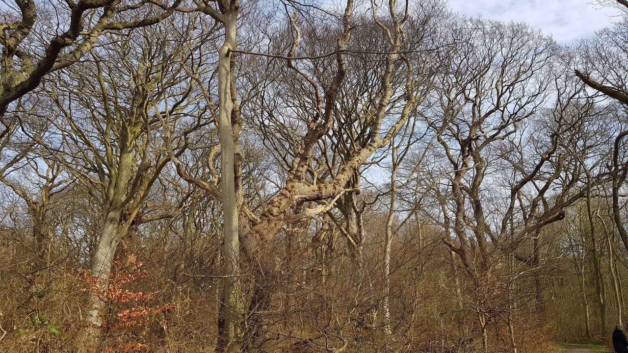 Photo of Others in Tranekaer