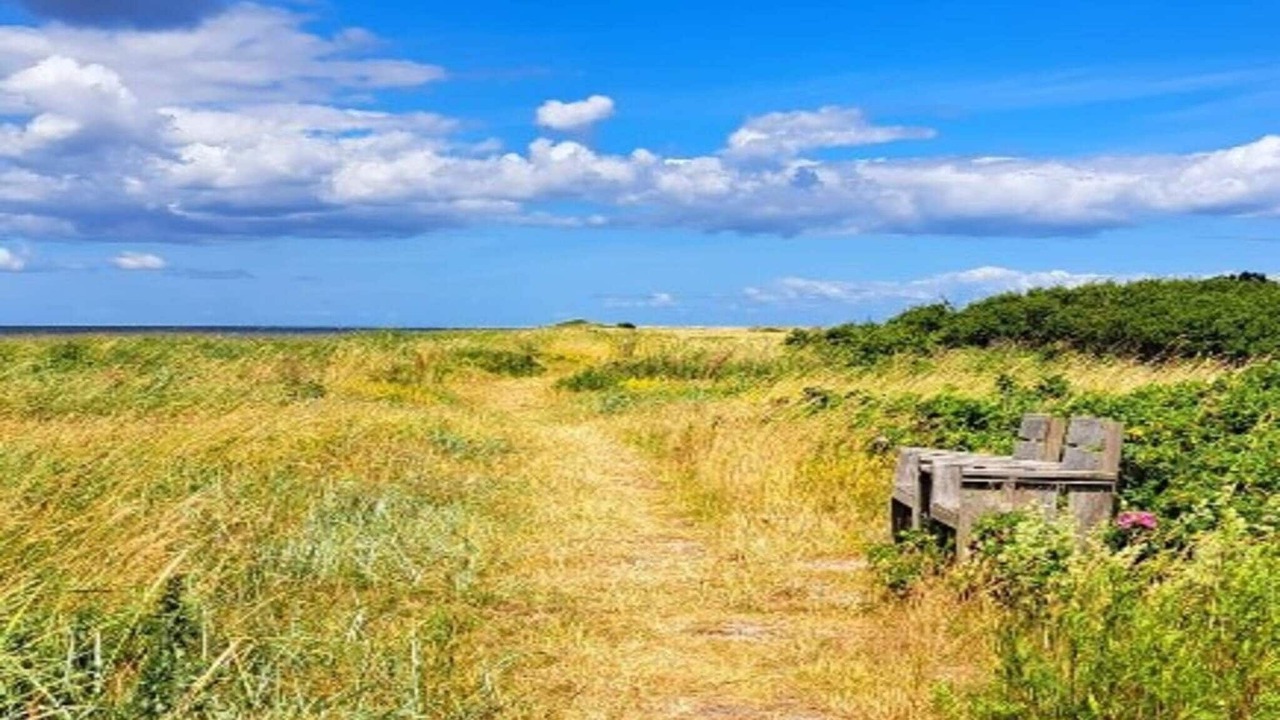 Photo of Outdoor in Tranekaer