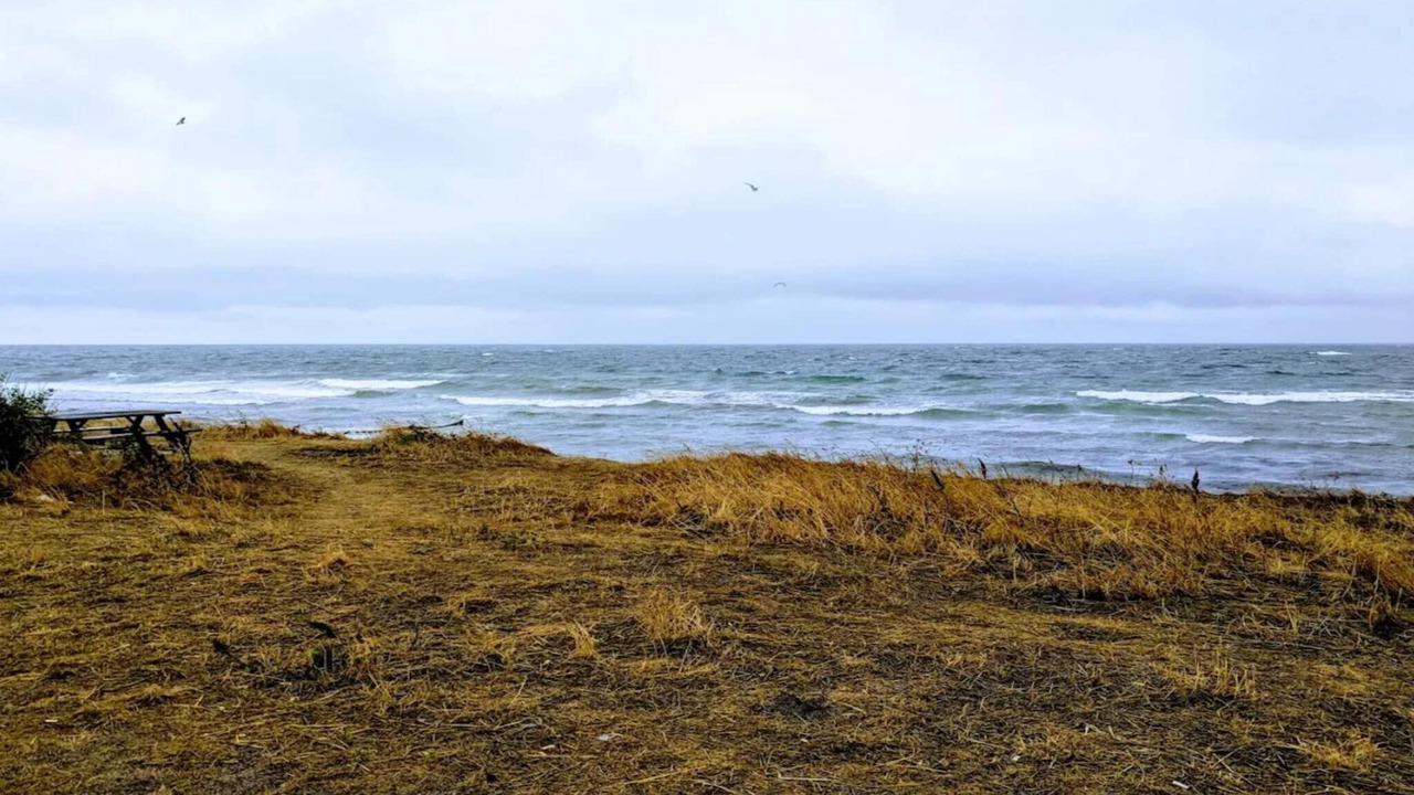 Photo of Others in Grena Strand