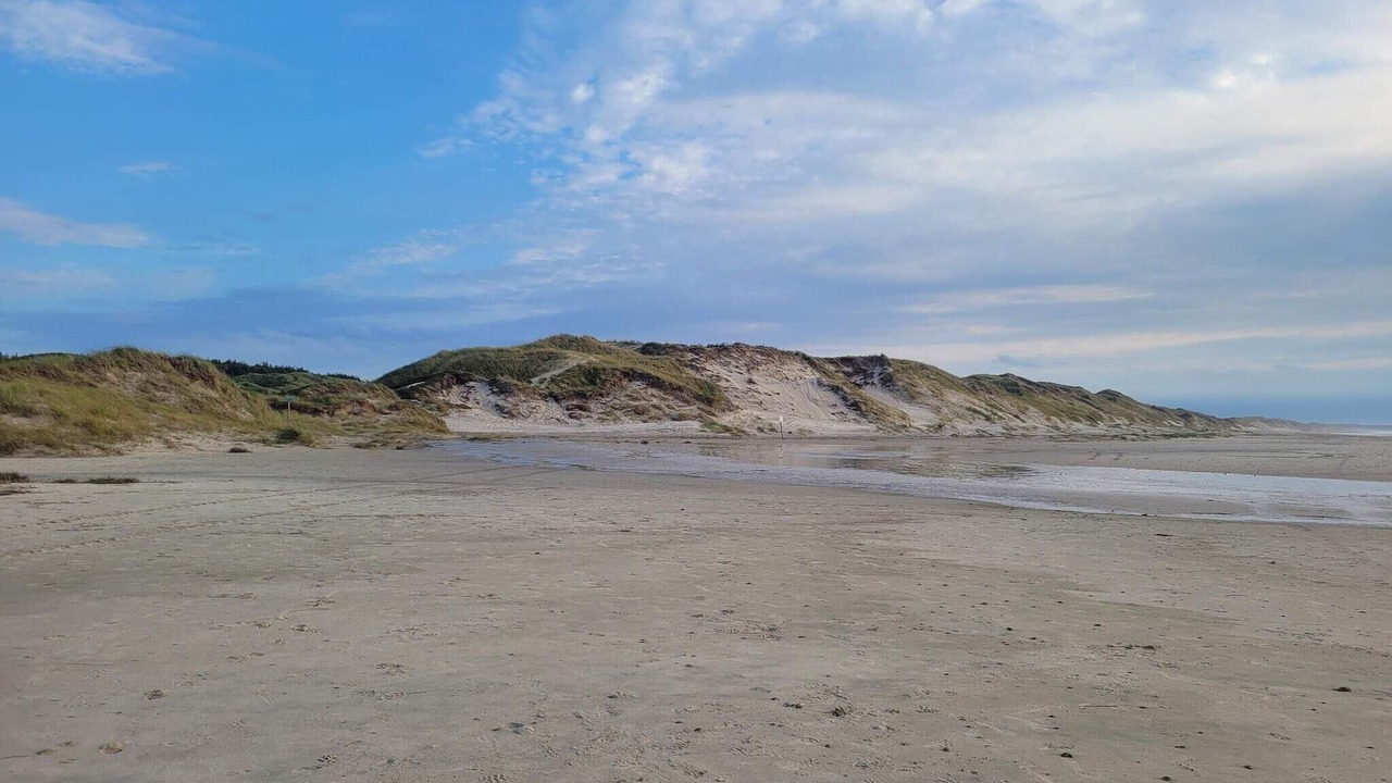 Photo of Others in Hirtshals