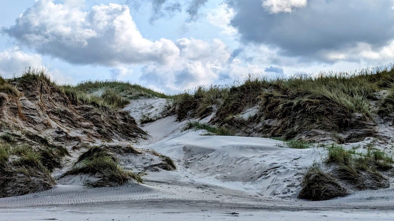 Photo of Others in Hirtshals