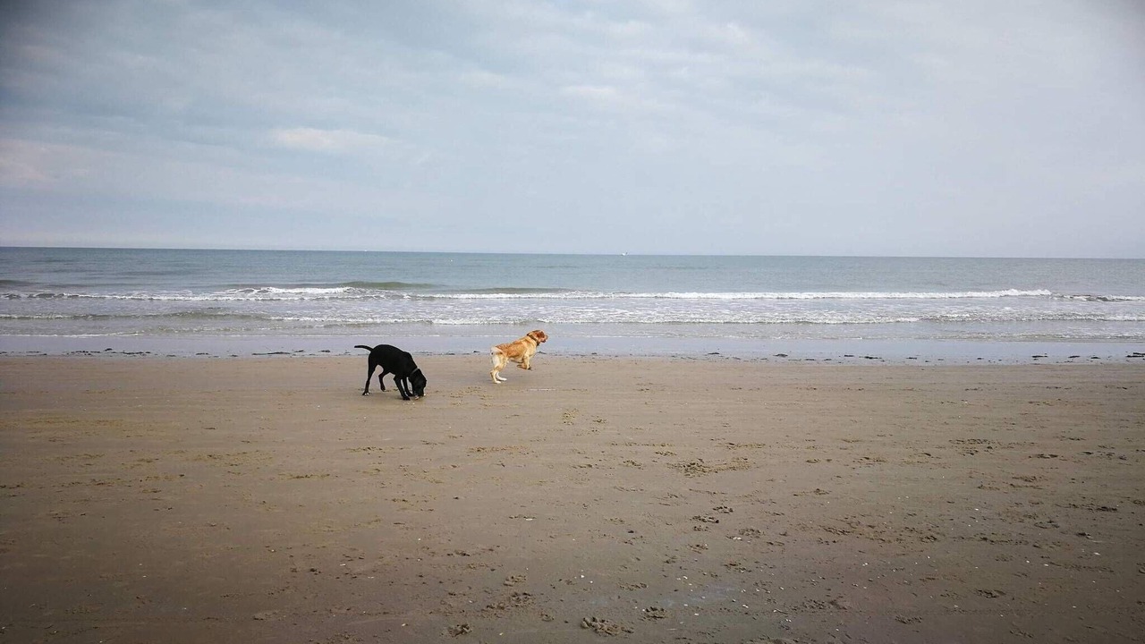 Photo of Others in Hirtshals