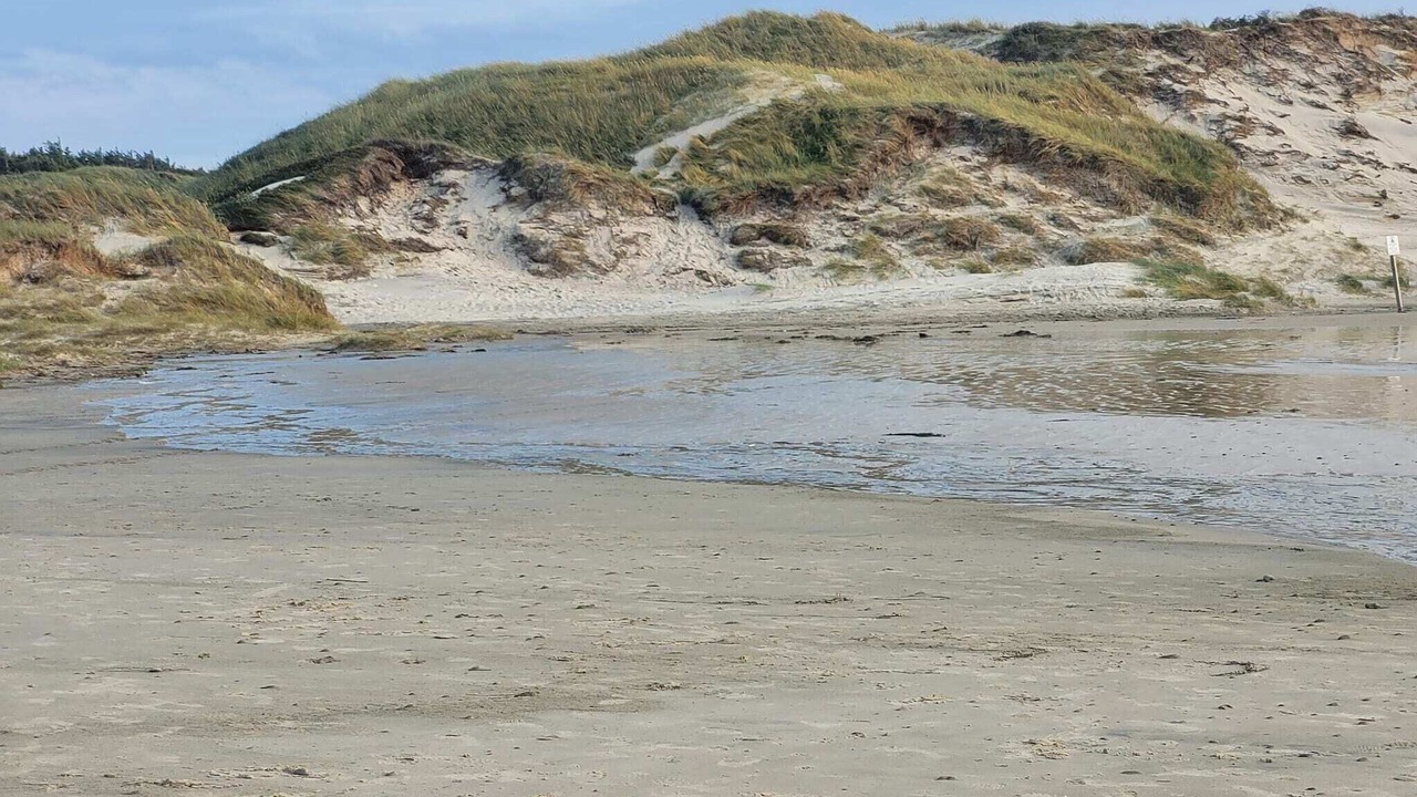 Photo of Others in Hirtshals