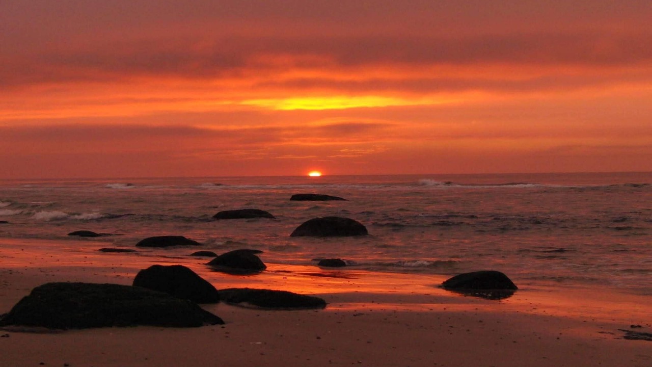 Photo of Others in Hirtshals