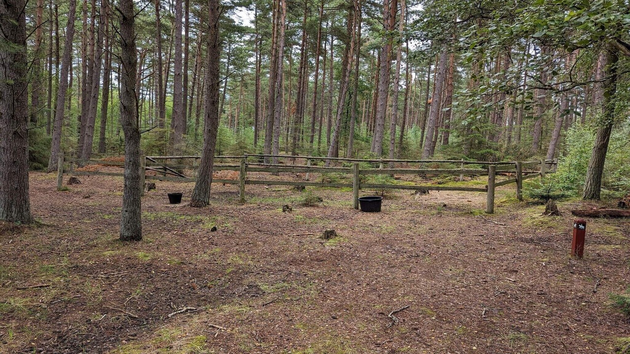 Photo of Others in Læsø