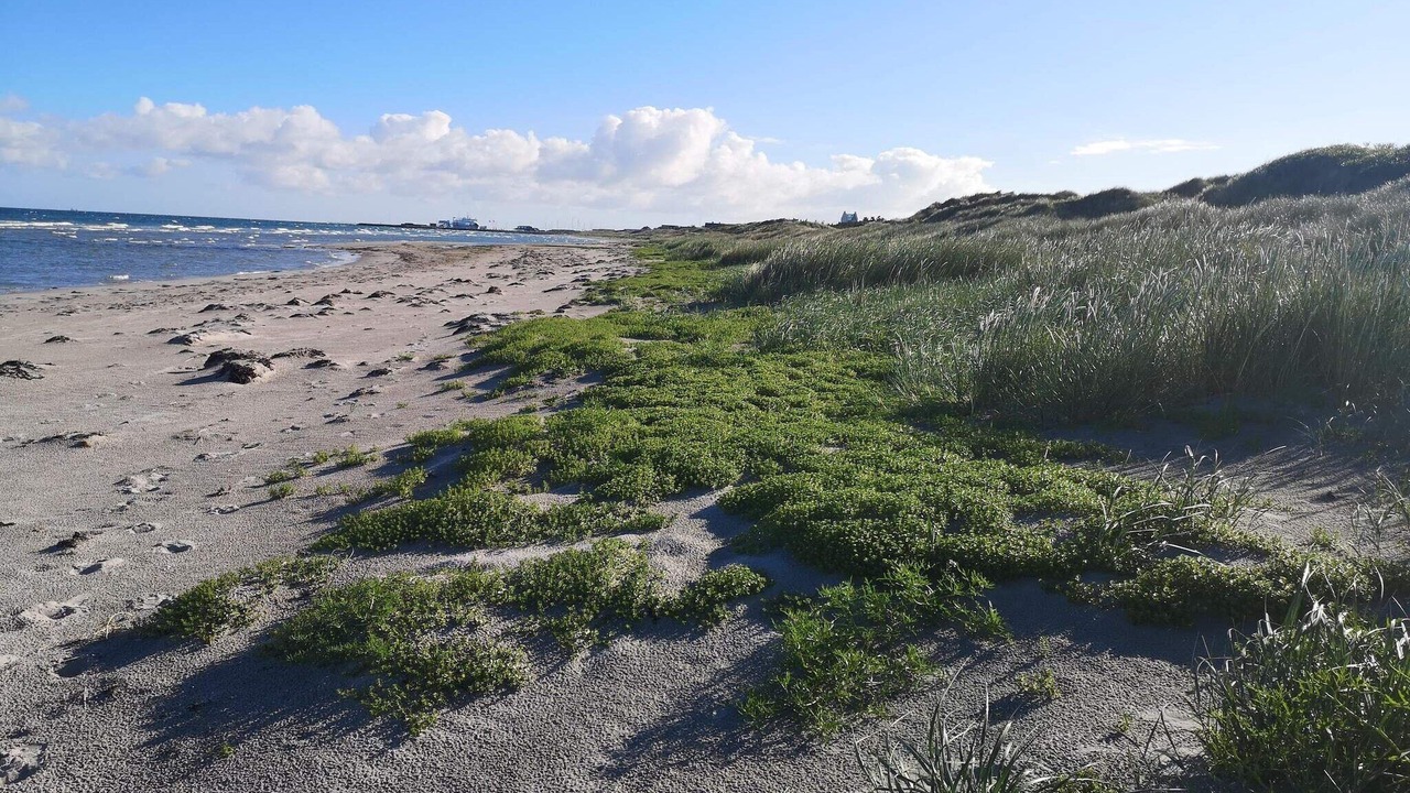 Photo of Others in Læsø