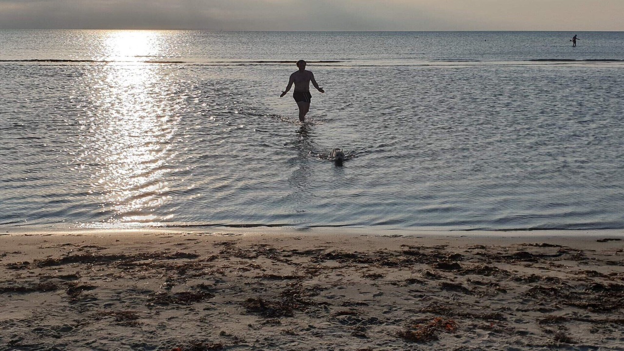 Photo of Others in Læsø