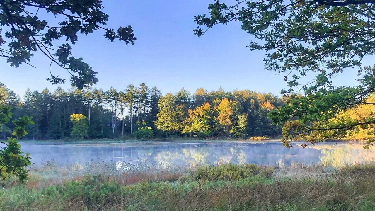 Photo of Outdoor in Aars