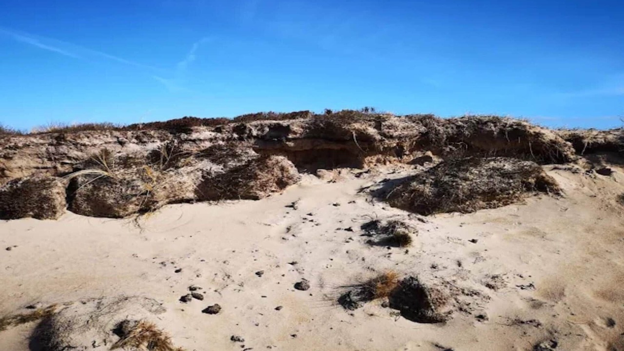 Photo of Others in Grærup Strand