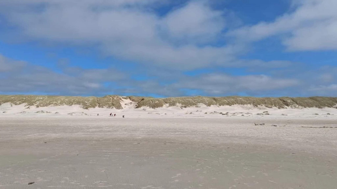 Photo of Others in Grærup Strand