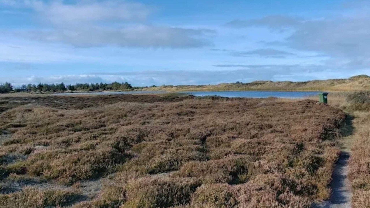 Photo of Others in Grærup Strand