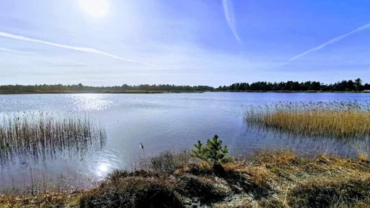 Photo of Others in Grærup Strand