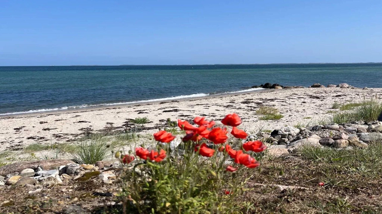 Photo of Others in Hasmark Strand