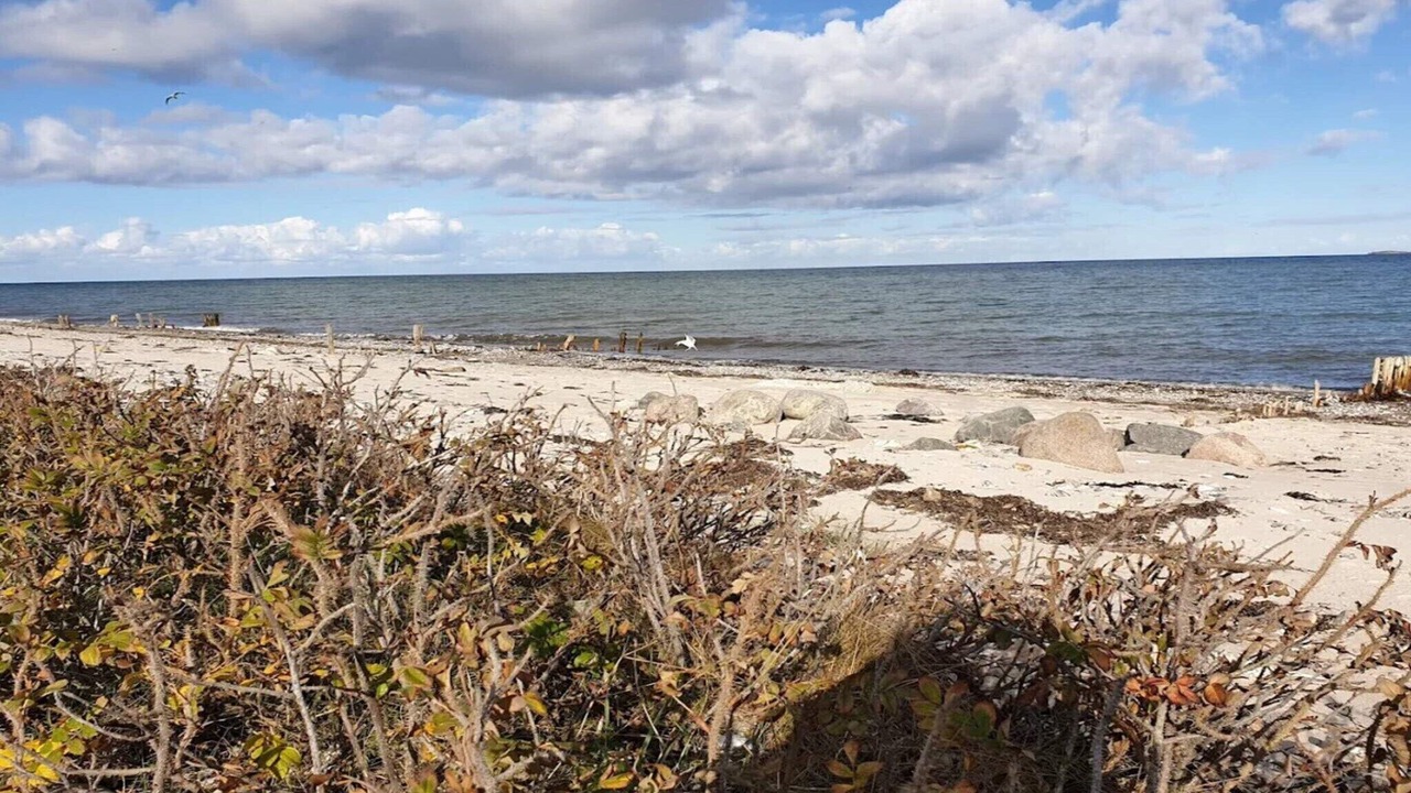 Photo of Others in Hasmark Strand