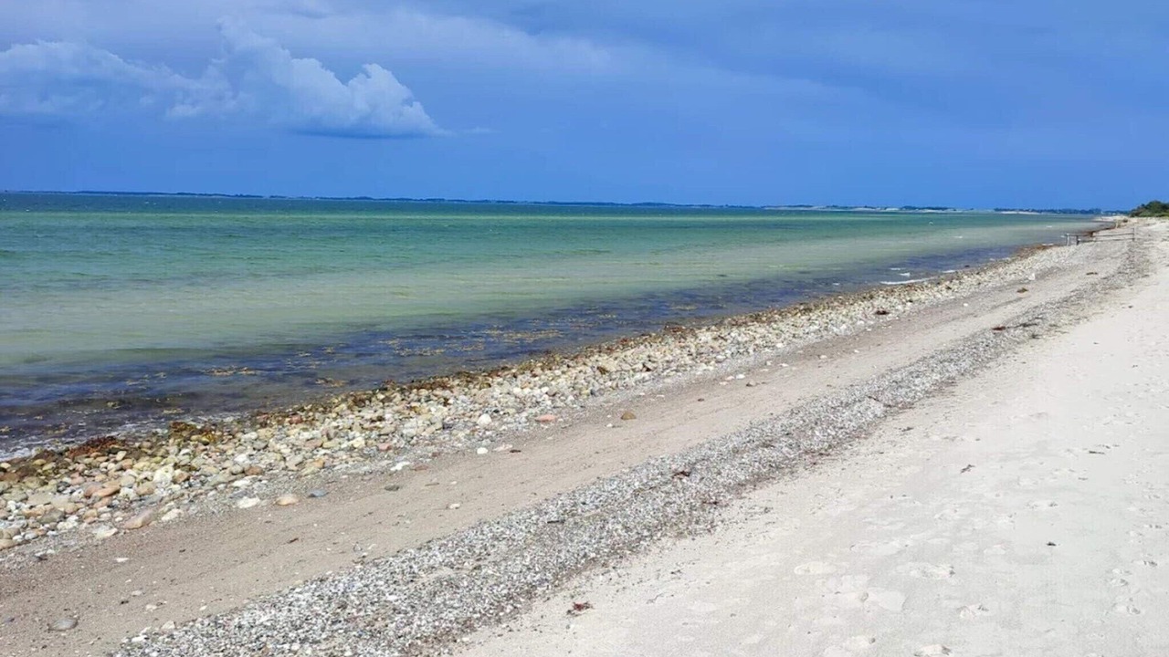Photo of Others in Hasmark Strand