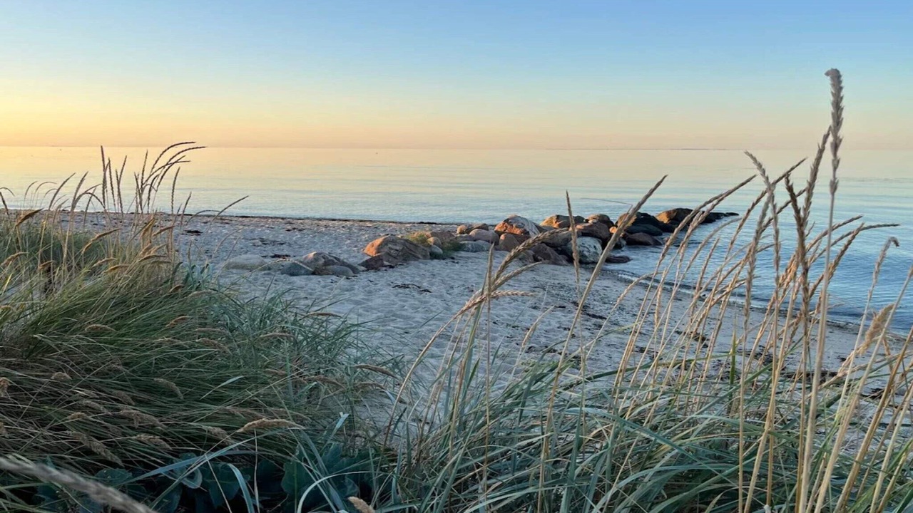 Photo of Others in Hasmark Strand