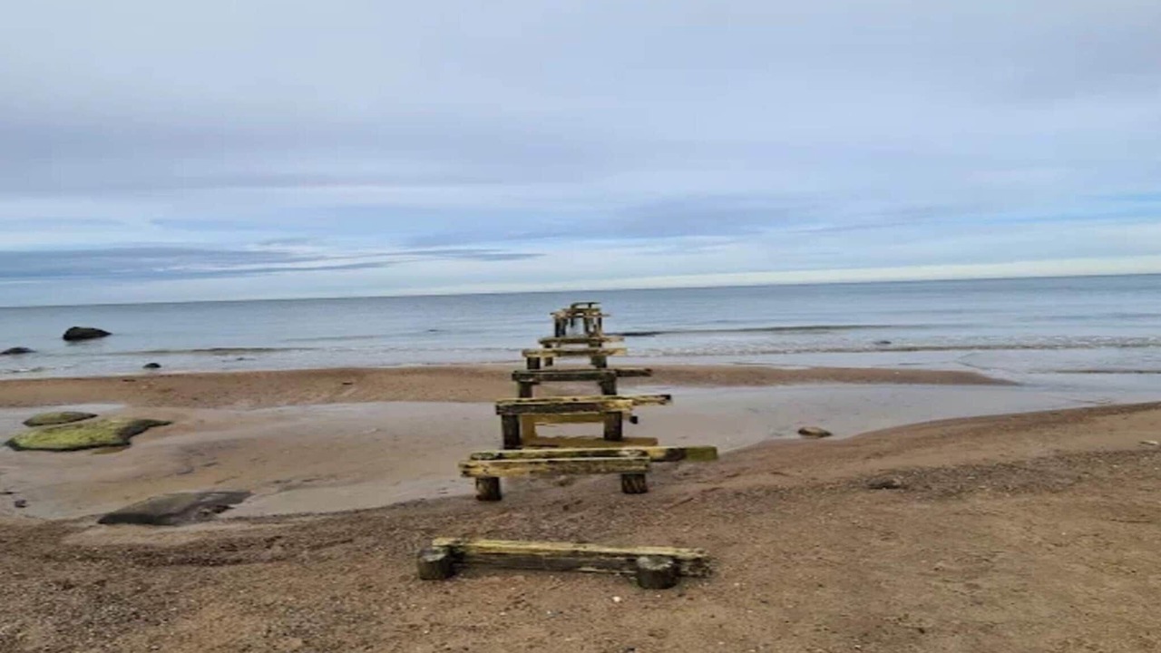 Photo of Others in Smidstrup Strand