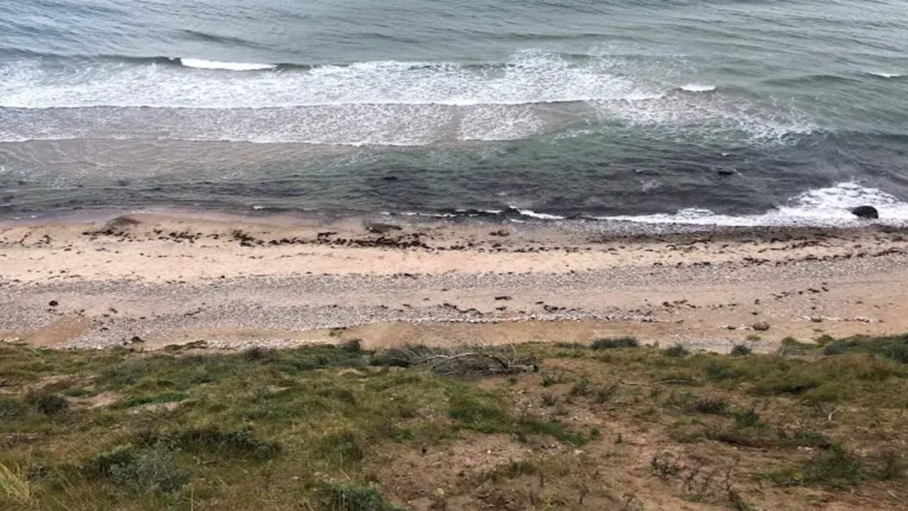 Photo of Others in Smidstrup Strand