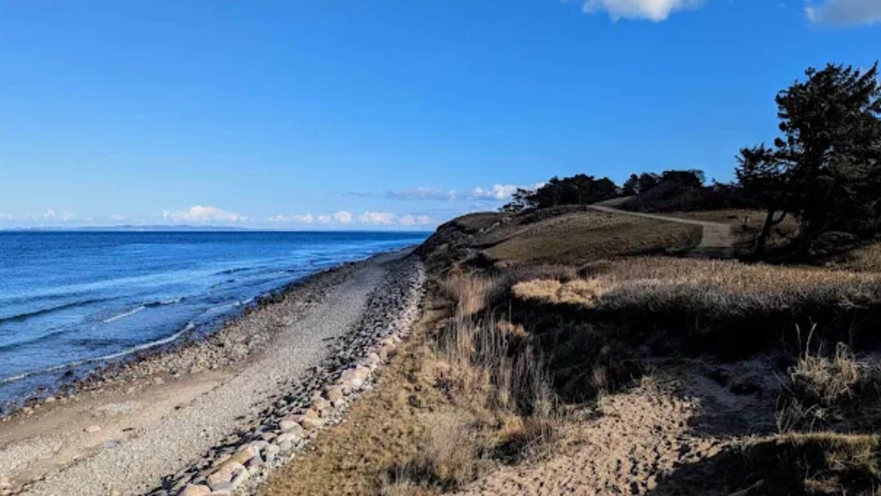 Photo of Others in Smidstrup Strand