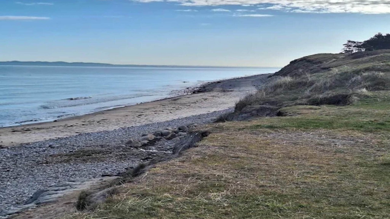 Photo of Others in Smidstrup Strand