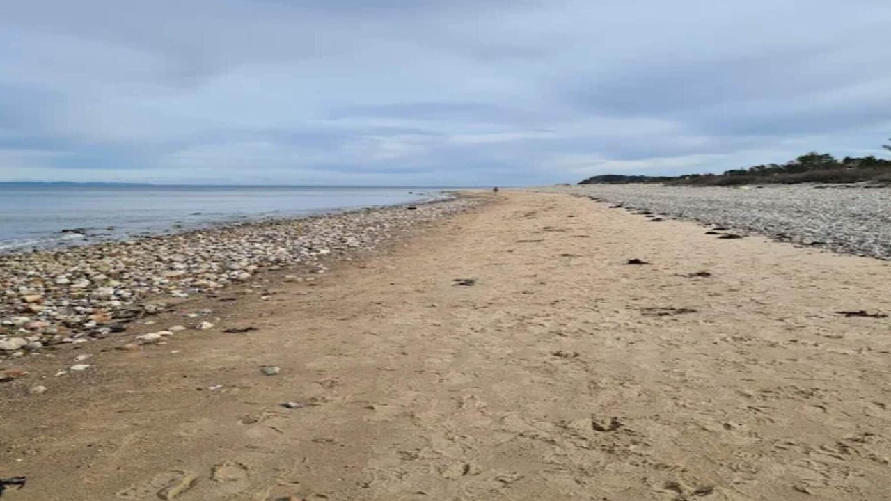 Photo of Others in Smidstrup Strand