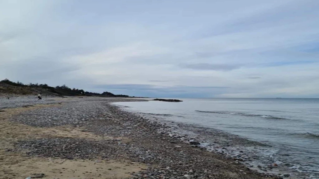 Photo of Others in Smidstrup Strand