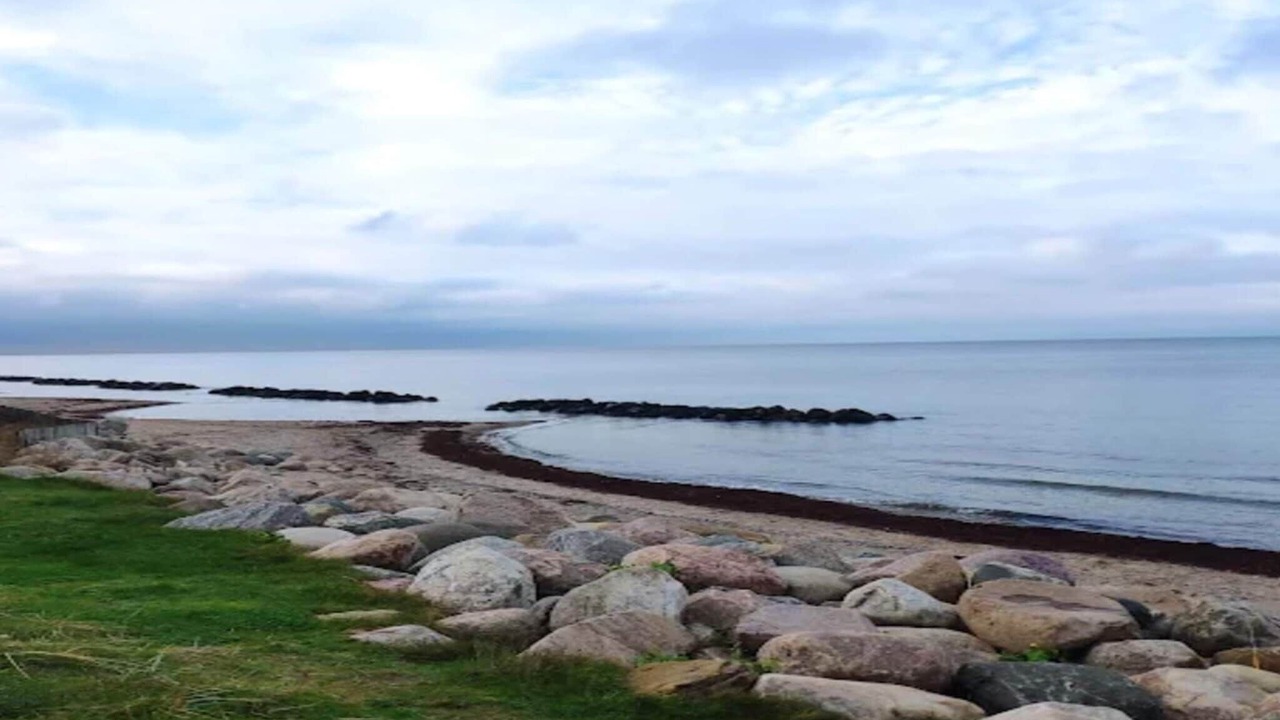 Photo of Others in Smidstrup Strand