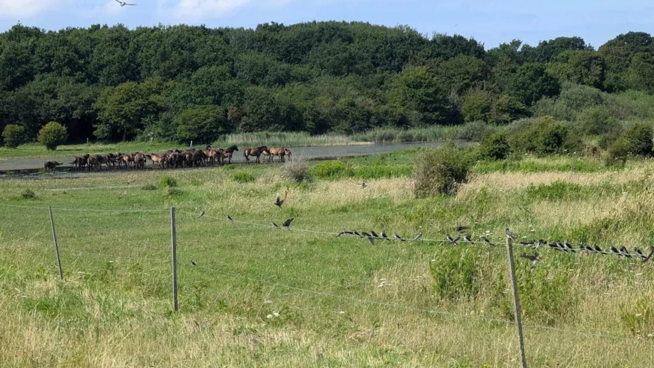 Photo of Others in Bagenkop