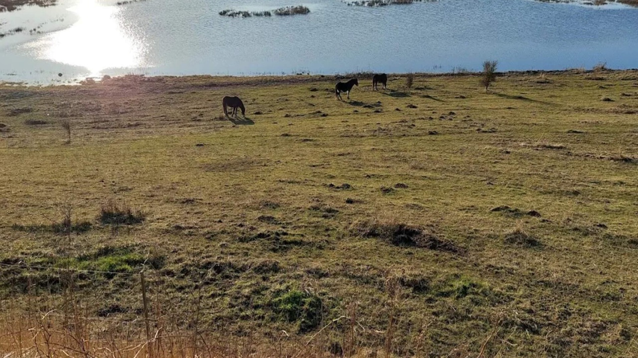 Photo of Others in Bagenkop