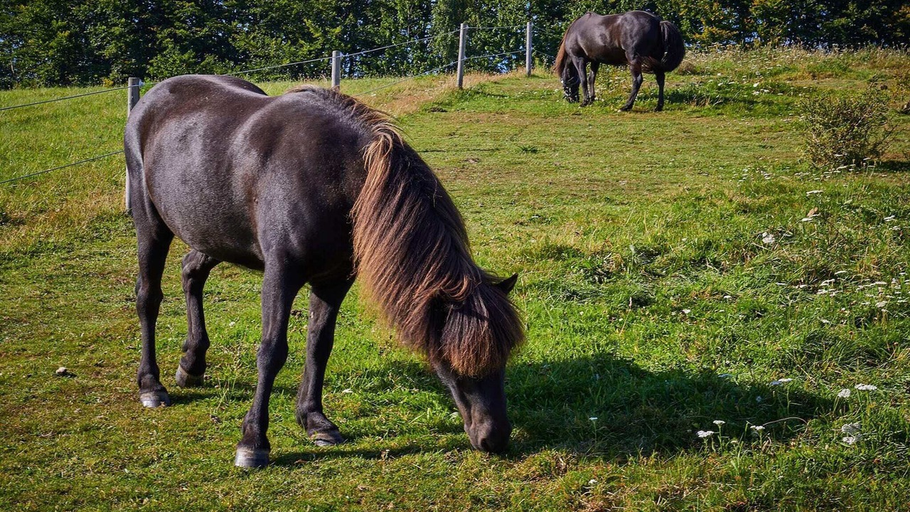 Photo of Others in Aabenraa