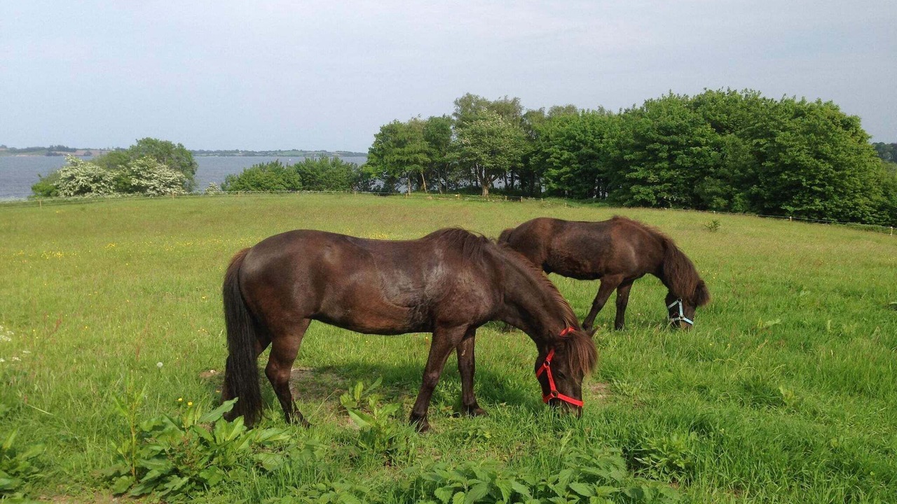 Photo of Others in Aabenraa