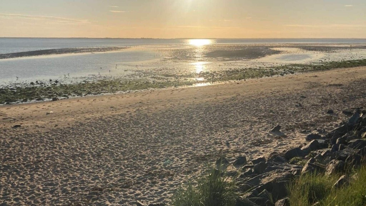 Photo of Others in Hjerting