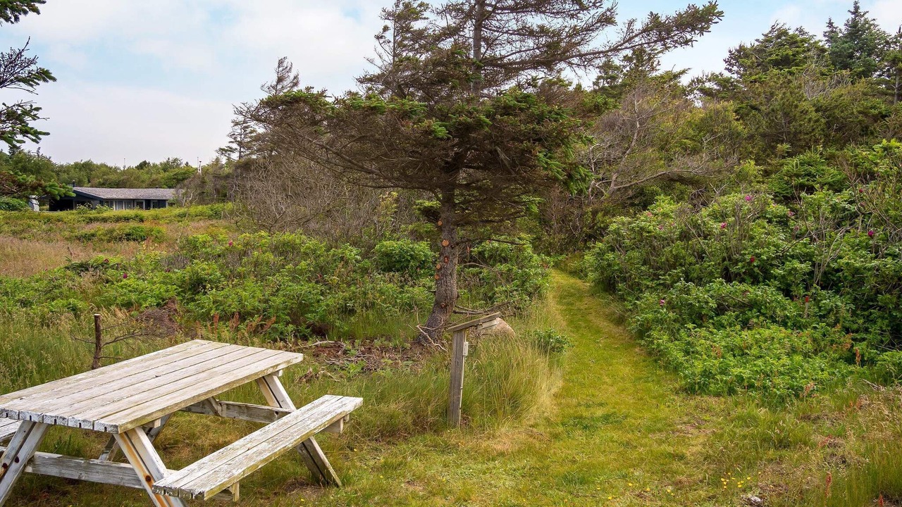 Photo of Outdoor in Hurup Thy