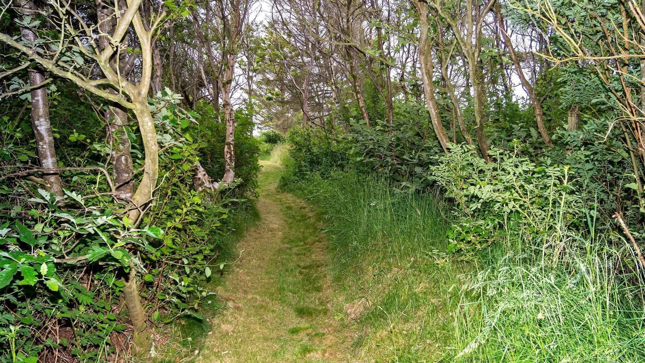 Photo of Outdoor in Hurup Thy