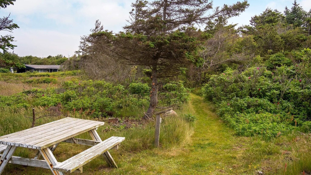 Photo of Outdoor in Hurup Thy
